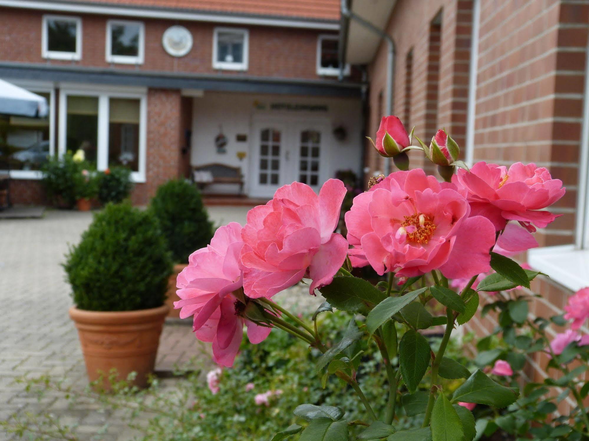 Landhaus Bolzum เซห์นเดอ ภายนอก รูปภาพ